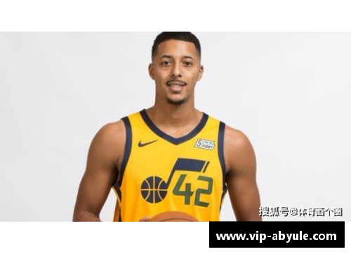 豪斯：探索NBA球员的崛起与传奇